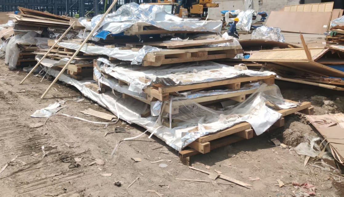 Kayu Pinus