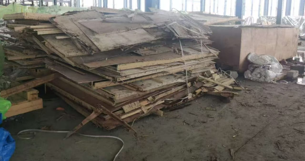 Kayu Pinus