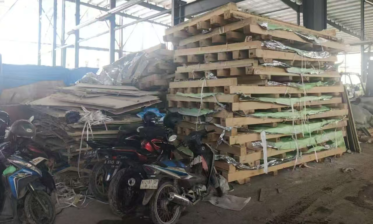 Kayu Pinus