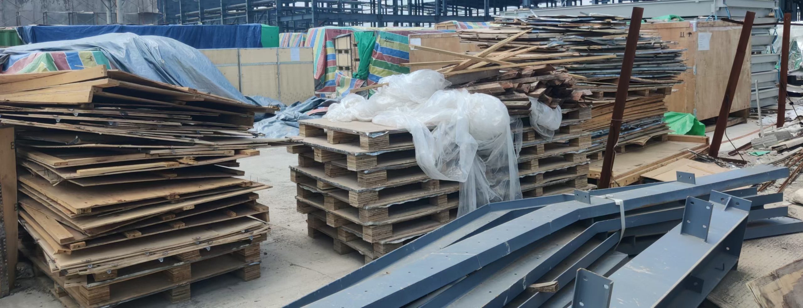 Kayu Pinus