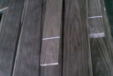 Veneer Walnut
