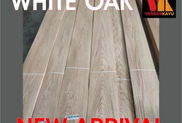JUAL Veneer White Oak