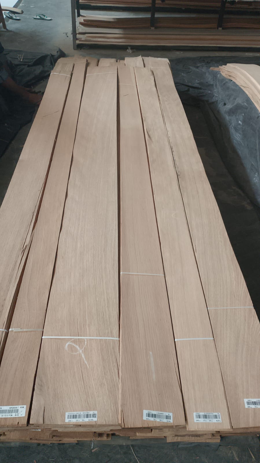 JUAL Veneer White Oak Lurus