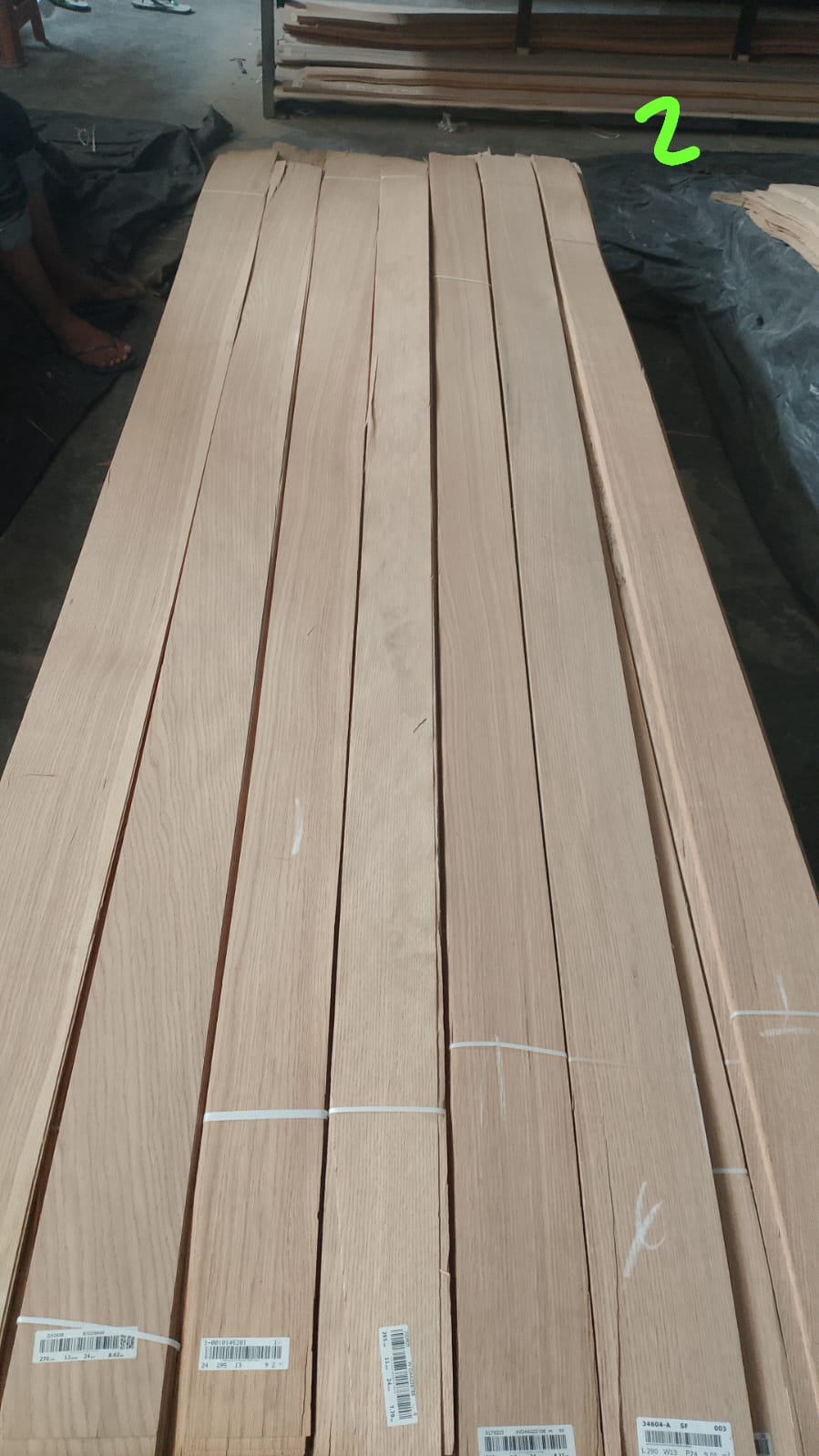 JUAL Veneer White Oak Lurus