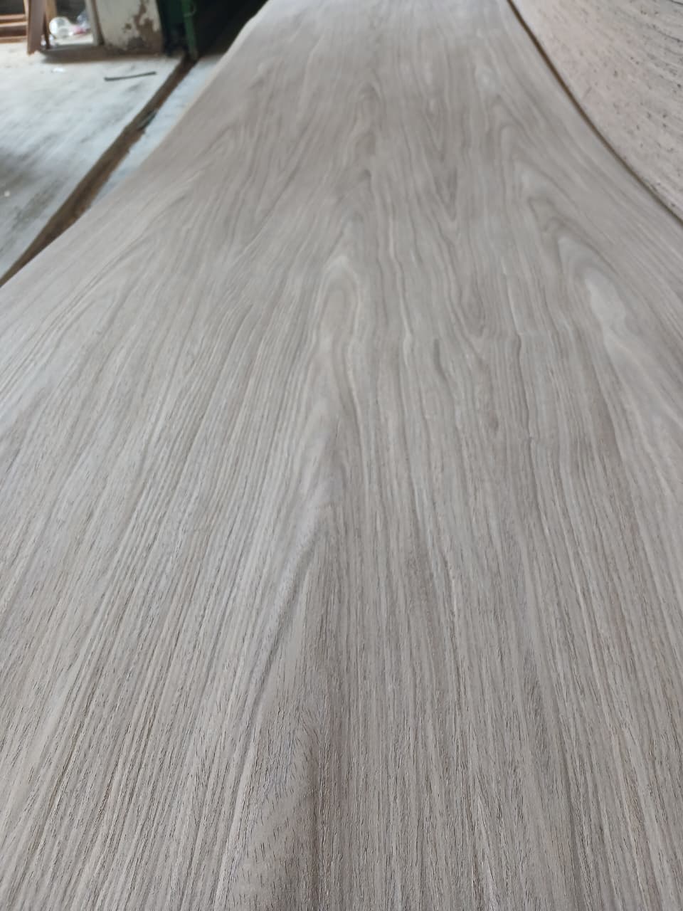 Light Walnut Quarters 250 Cm
