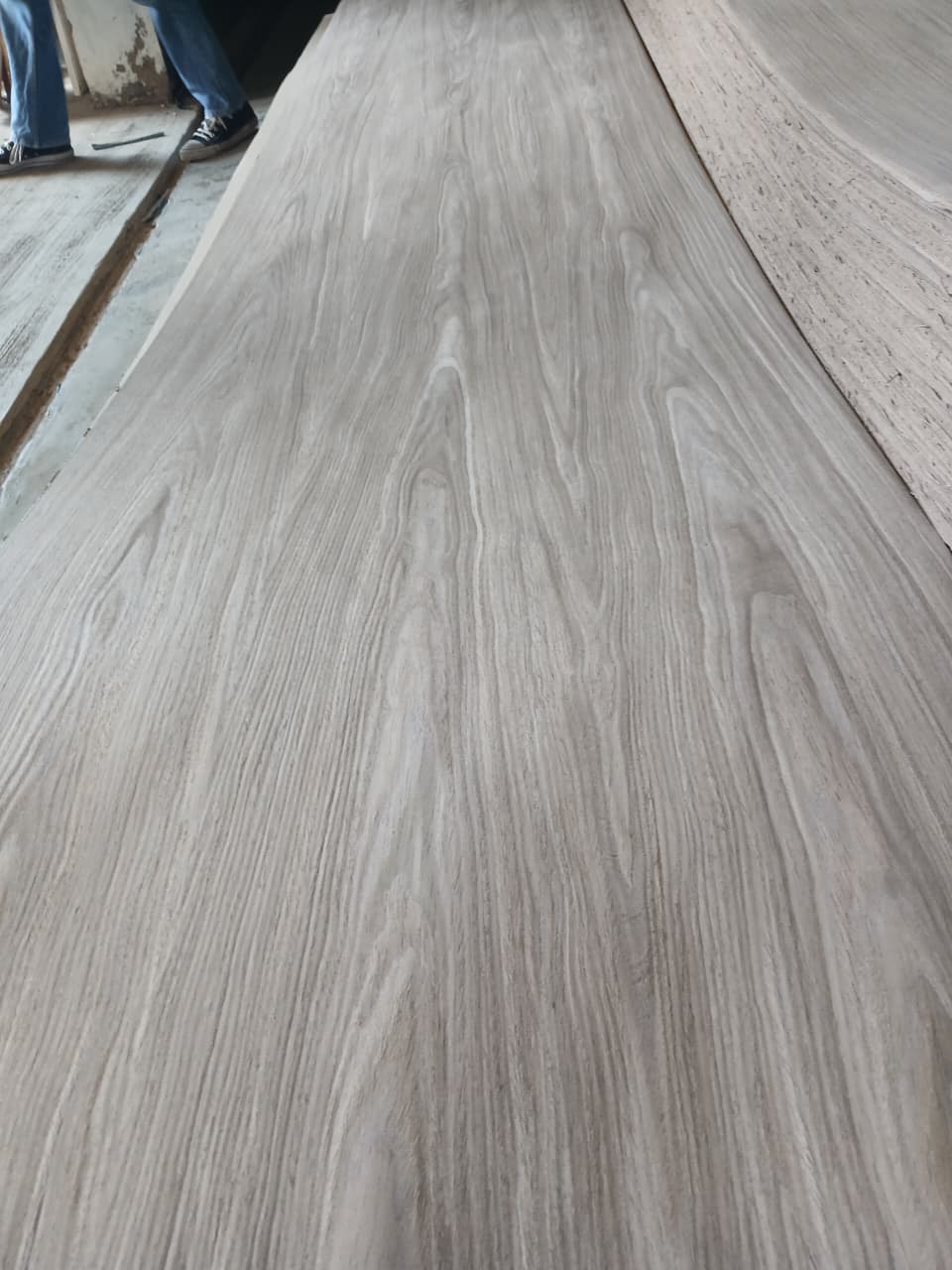 Light Walnut Crown 200 -250 Cm