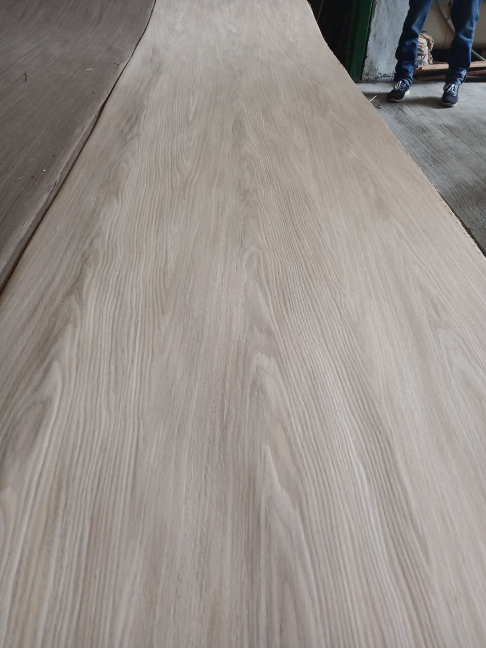 Us Oak Crown 310 Cm