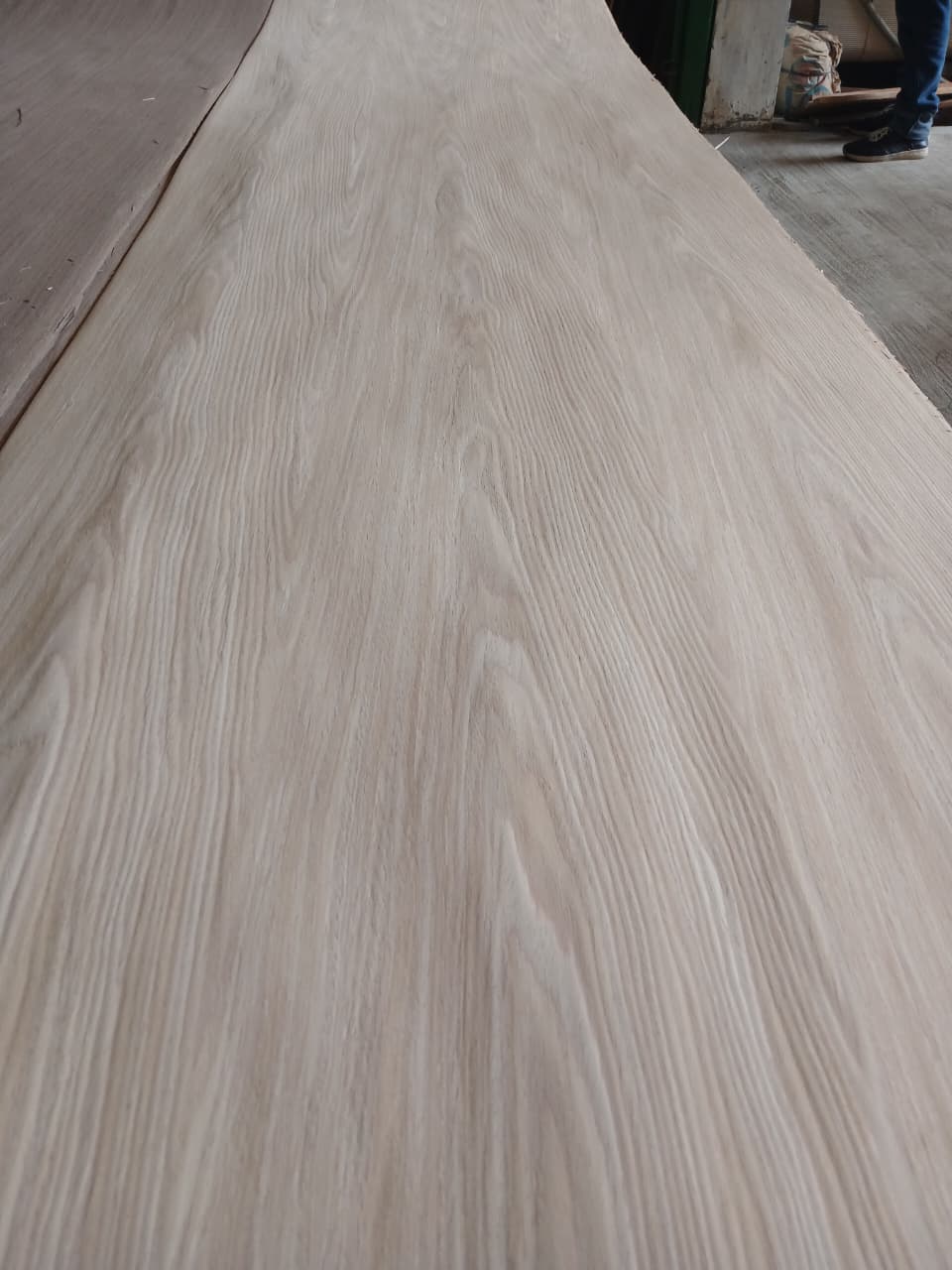 Us Oak Crown 310 Cm