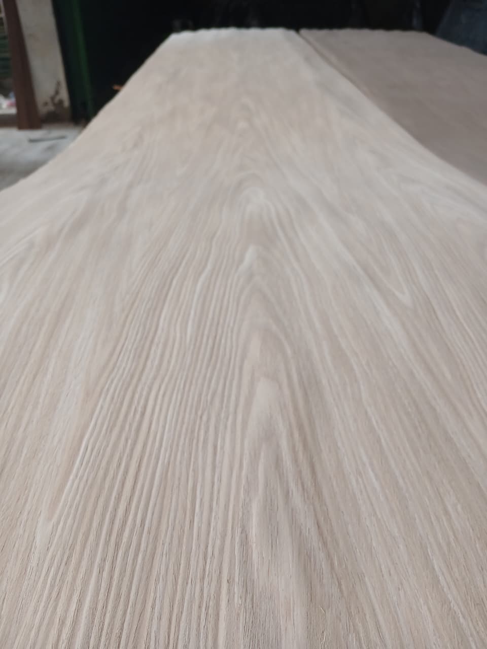 Us Oak Crown 250 Cm
