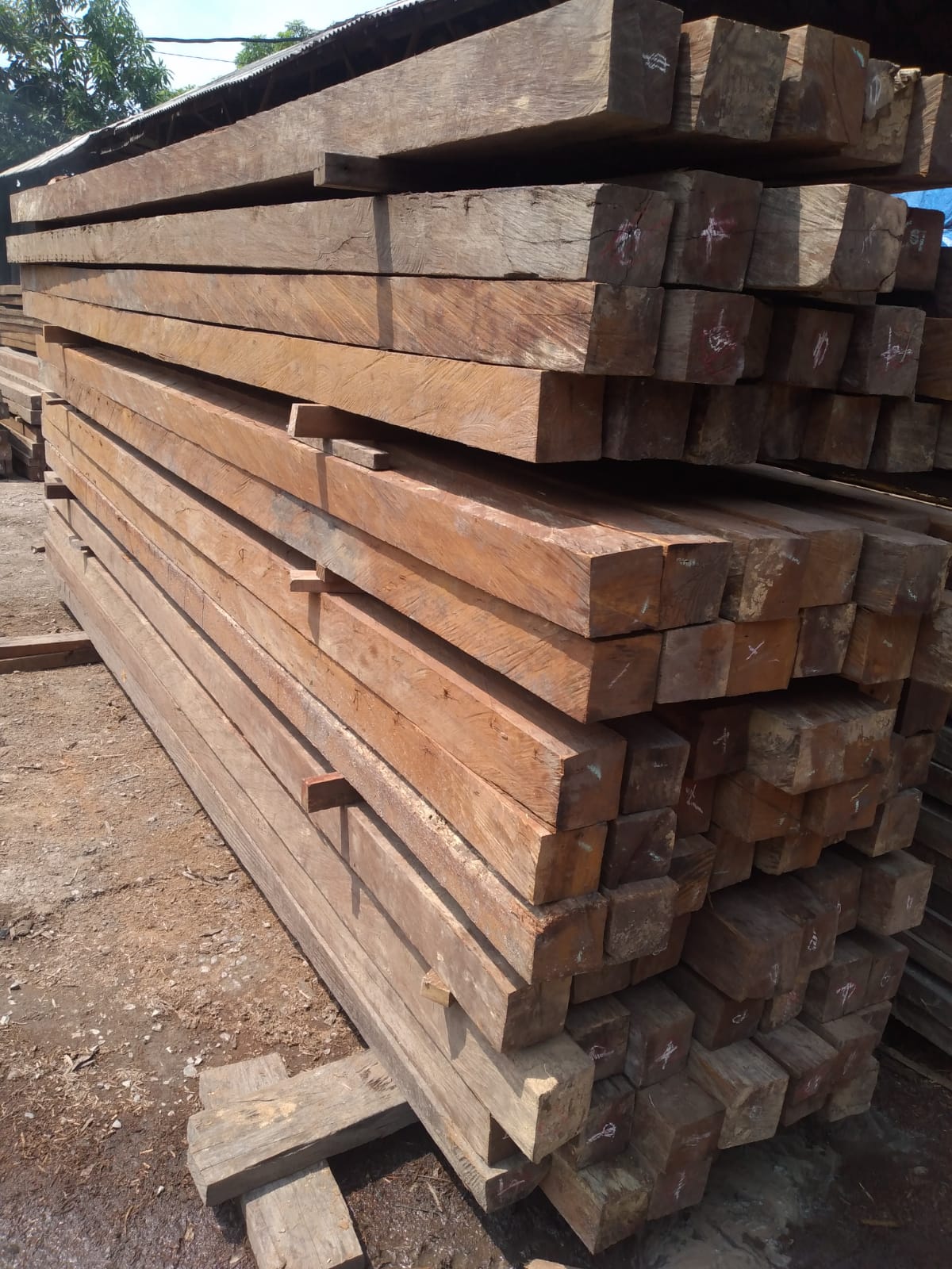 Jual kayu Ulin