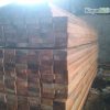 Jual Kayu Racuk