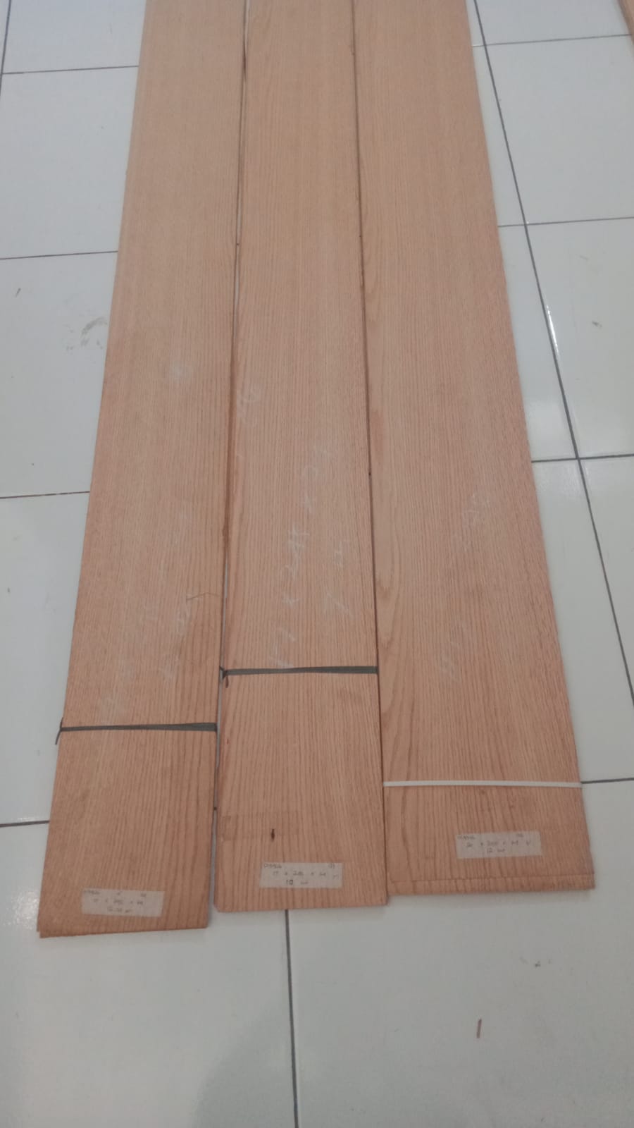 Red Oak Kembang